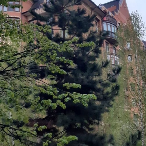 2-комн квартира Международный кв-л, Клязьма-Старбеево мкр, улица Береговая, 2