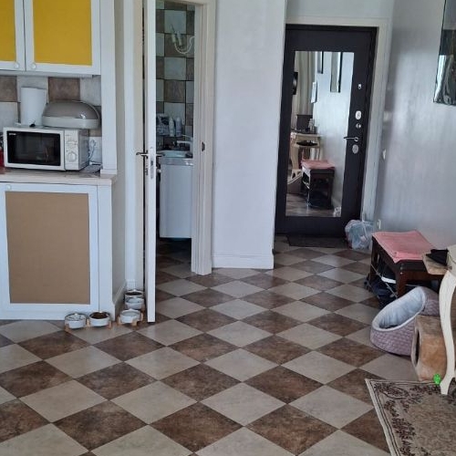 1-комн квартира д. Красный Поселок, улица Конюхова, 16