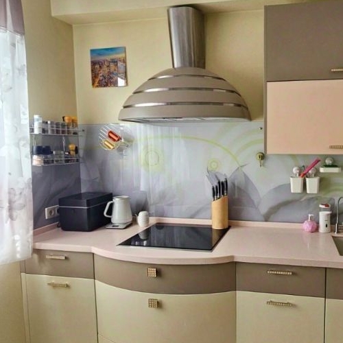 3-комн квартира улица Летчика Грицевца, 12