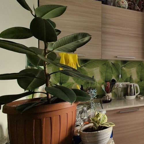 1-комн квартира Химки, улица Германа Титова, 2к1