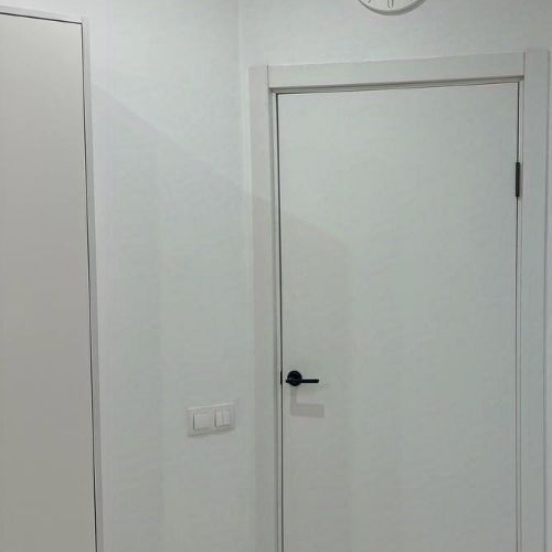 1-комн квартира д. Красный Поселок, улица Конюхова, 10