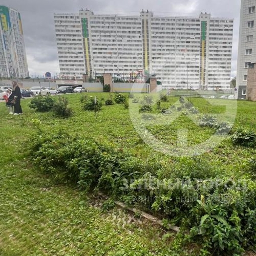 Студия Голубое пгт, проезд Зеленый, 2