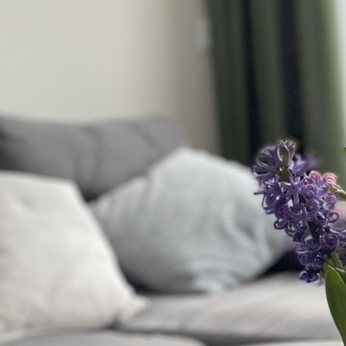 2-комн квартира 1-я Магистральная улица, 25