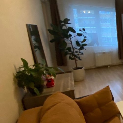 1-комн квартира Раменское, улица Лучистая, 3