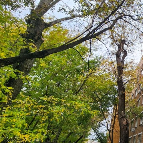 Студия 2-я Фрезерная улица, 6к2