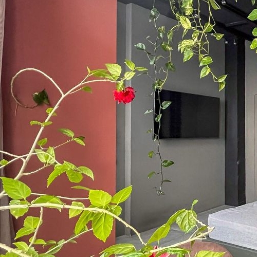 3-комн квартира проспект Магеллана, 4