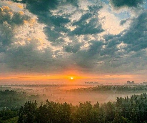 1-комн квартира Балашиха, улица Дмитриева, 6