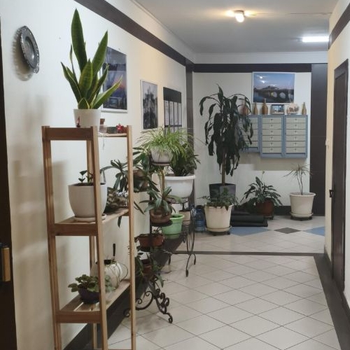 2-комн квартира с. Ромашково, улица Никольская, 8к1