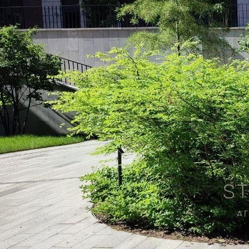 3-комн квартира Тессинский переулок, 1