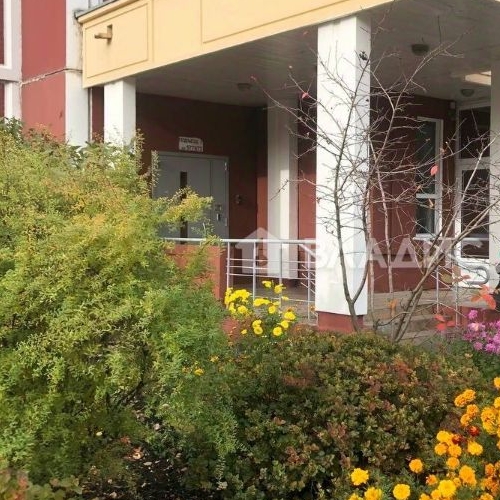 1-комн квартира улица Авиаконструктора Петлякова, 31