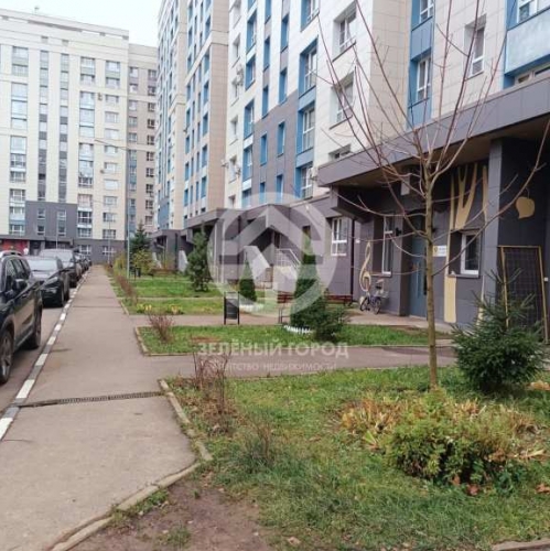 Студия деревня Голубое, Мелодия Леса, д. 8