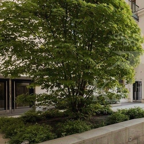 6-комн квартира улица Пречистенка, 13