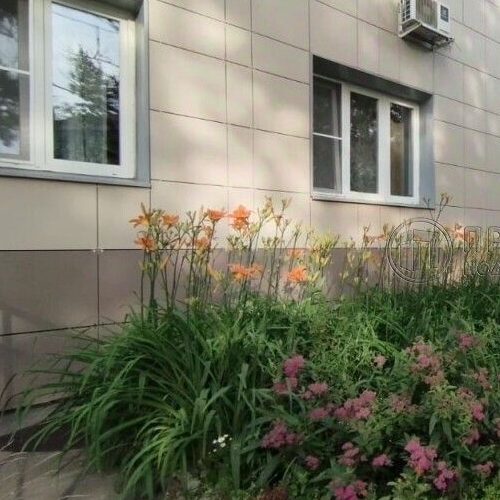 Студия Фестивальная улица, 52