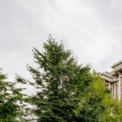 6-комн квартира Чапаевский переулок, 3