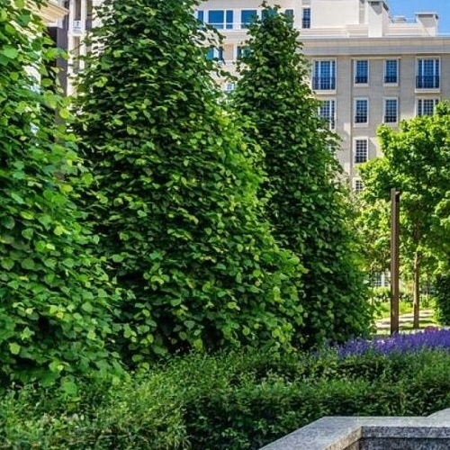 4-комн квартира улица Ефремова, 19к1