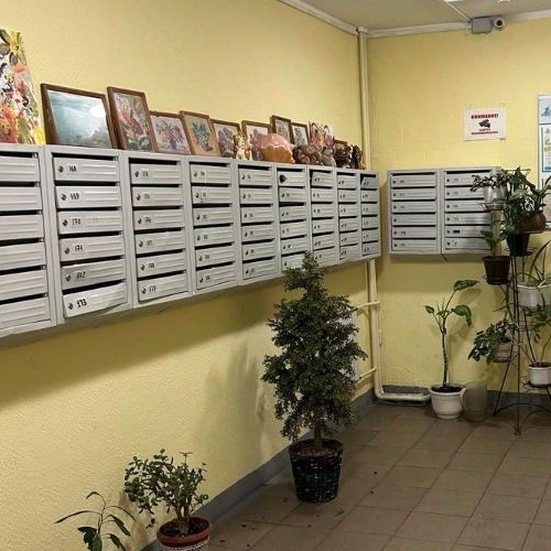 3-комн квартира Балашиха, улица Демин луг, 6/5