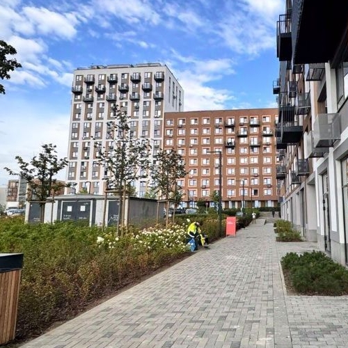 Студия д. Сапроново, улица Калиновая