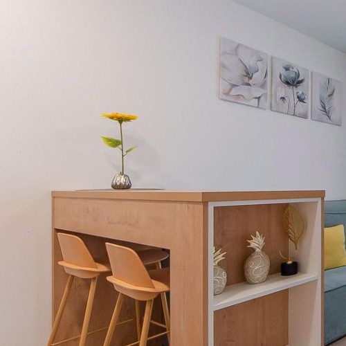 Студия улица Академика Павлова, 56к1