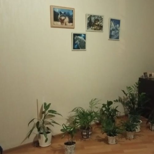 1-комн квартира Люберцы, Московская улица, 5