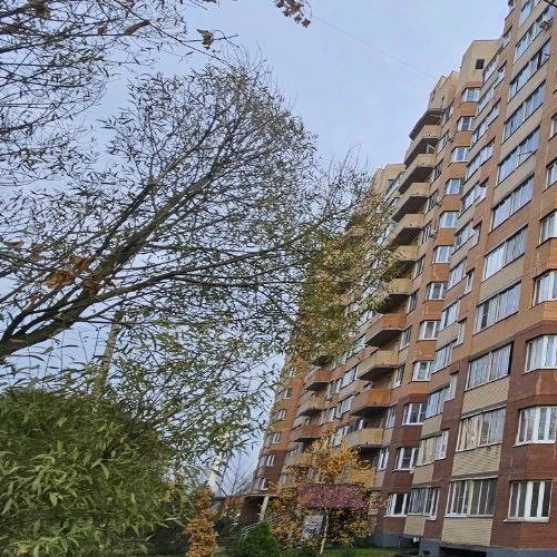 2-комн квартира д. Малые Вяземы, Петровское шоссе, 5