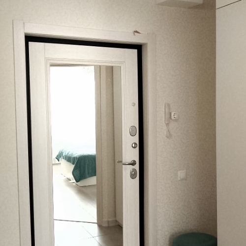 1-комн квартира д. Красный Поселок, улица Конюхова, 4