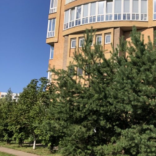 5-комн квартира д. Глухово, улица Рублевское Предместье, 4к2