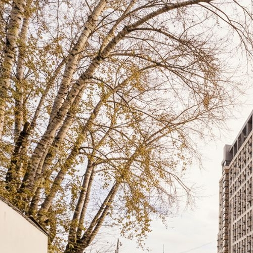 2-комн квартира 1-я Магистральная улица, 25