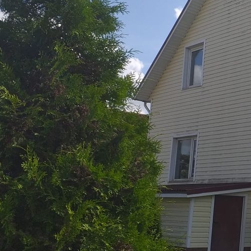 Коттедж/дом д. Порошкино, Березка СНТ, 25А