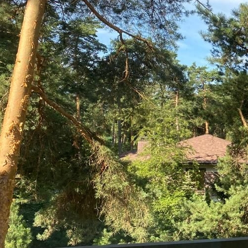 3-комн квартира д. Барвиха, Рублево-Успенское шоссе, 8-й км,  д. 117