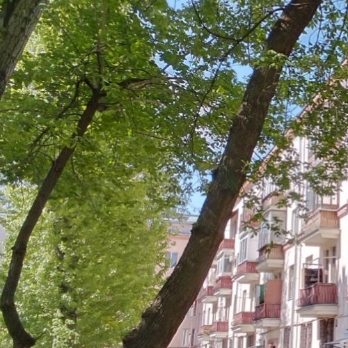 Студия 5-я Парковая улица, 42