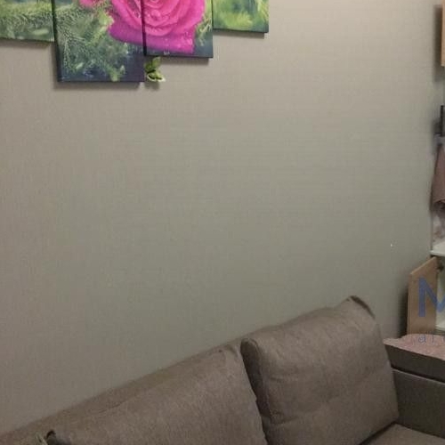 Студия аллея Первой Маевки, 15с1