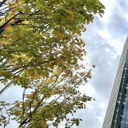 2-комн квартира Мичуринский проспект, 56