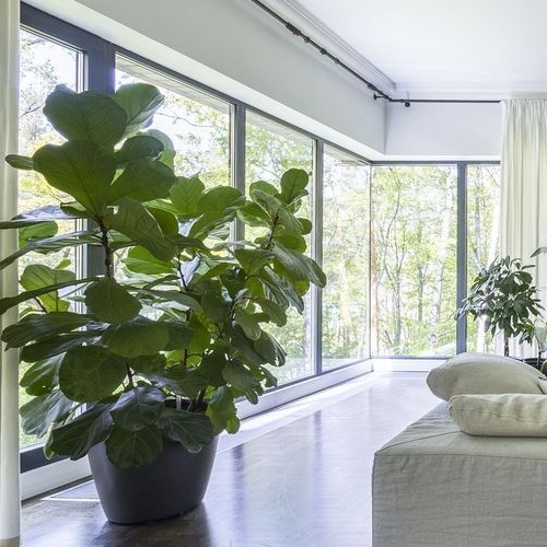 4-комн квартира Красногорск, улица Согласия, 9/1