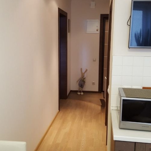 1-комн квартира улица Авиаконструктора Петлякова, 9