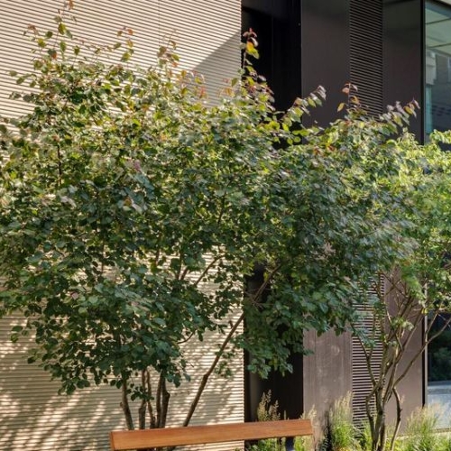 2-комн квартира Мосфильмовская улица, 1А