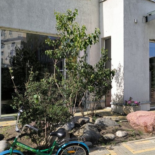 1-комн квартира Красногорск, улица Авангардная, 2