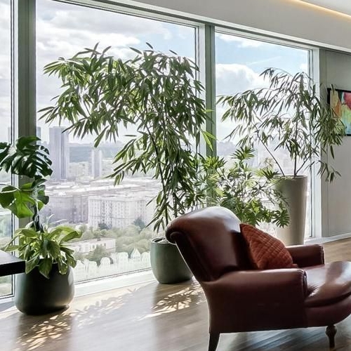 3-комн квартира набережная Пресненская, 8с1