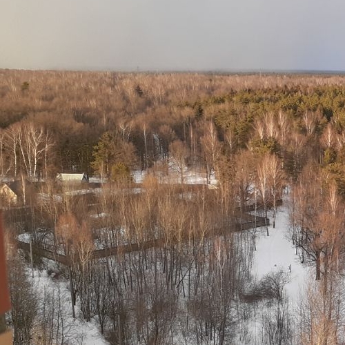 1-комн квартира Щелково, улица Неделина, 26