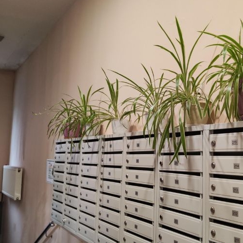 1-комн квартира Мытищи, улица Колпакова, 31