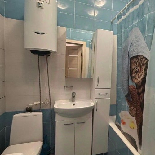 1-комн квартира Пушкино, проезд 1-й Некрасовский,  д. 9