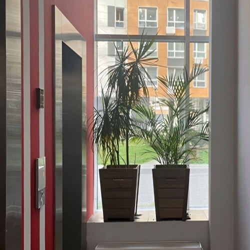 Студия Королев, улица Академика Легостаева, 8