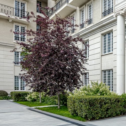 3-комн квартира улица Ефремова, 19к1