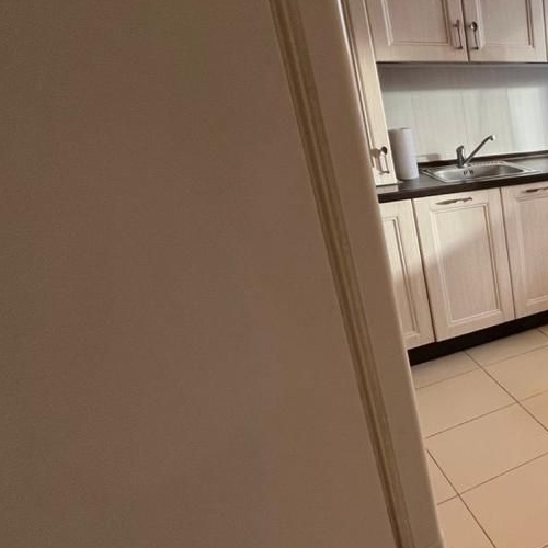 1-комн квартира с. Ромашково, бульвар Европейский, 8