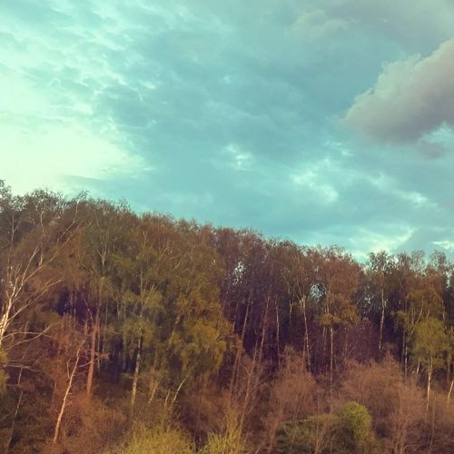 1-комн квартира аллея Буковая, 8