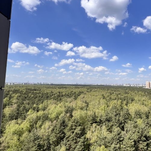 2-комн квартира Котельники, улица Сосновая, 2к1