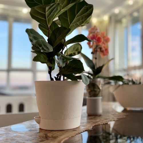 3-комн квартира Жуковский, улица Амет-хан Султана, 15к4