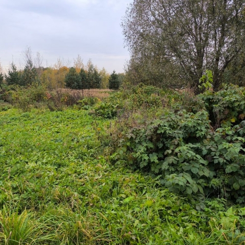 Коттедж/дом Шемякино, 46К-0030,  д. 78