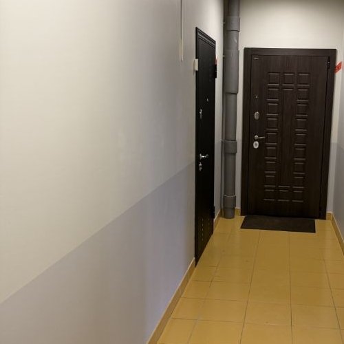 1-комн квартира д. Красный Поселок, улица Конюхова, 4