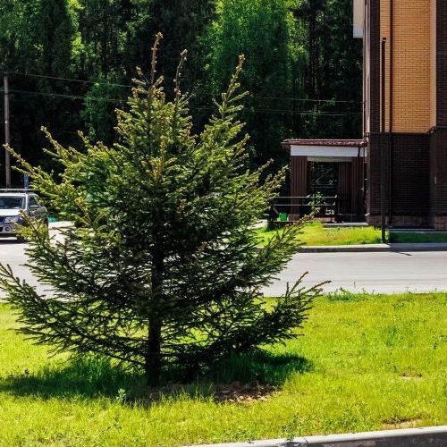 2-комн квартира улица Генерала Донскова, 27к5