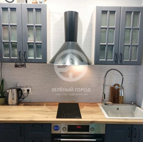 Студия деревня Голубое, Мелодия Леса, д. 8